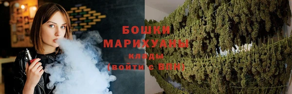 дживик Карпинск