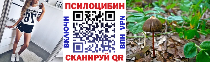 купить  цена  Кораблино  Галлюциногенные грибы Psilocybe 